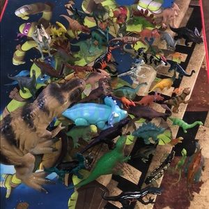 A ton of dinosaurs🦖🦕